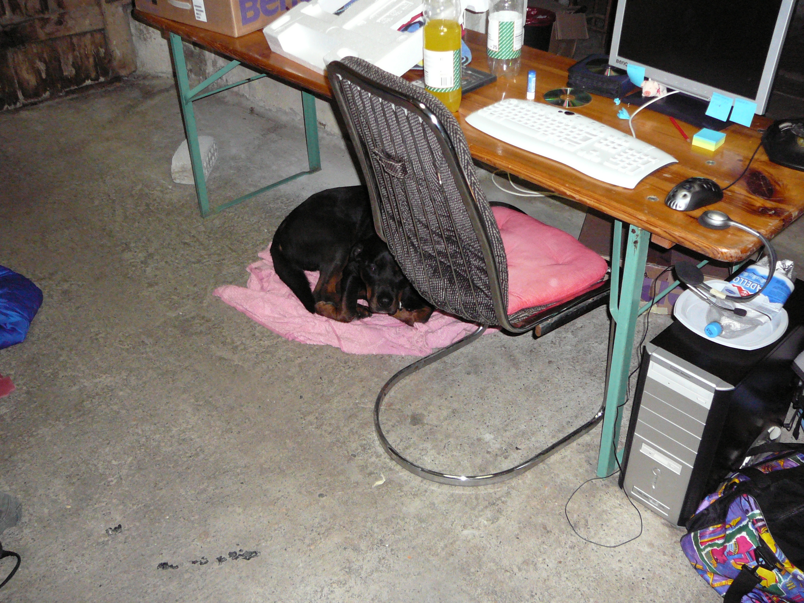 image-223